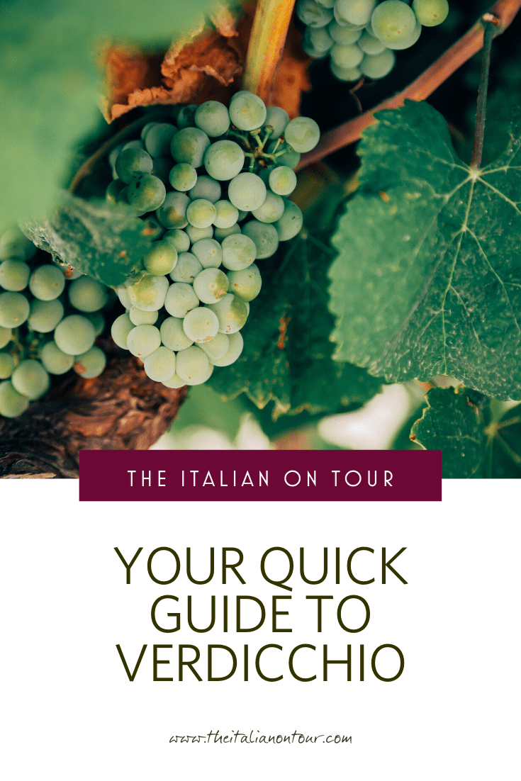 Verdicchio wine from Le Marche, Italy