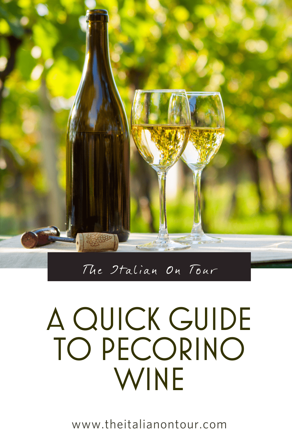 pecorino wine