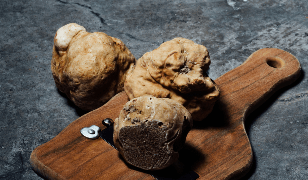 BEST ITALIAN FOOD FESTIVALS: A LOCAL'S GUIDE alba truffle festival