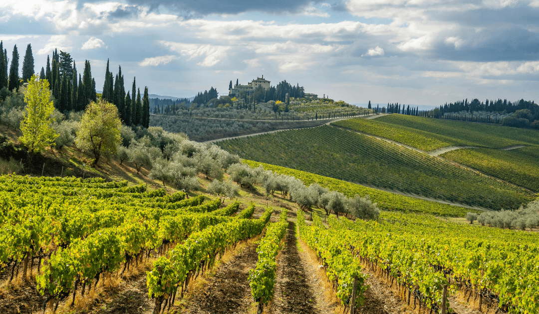 chianti wine italy guide tours