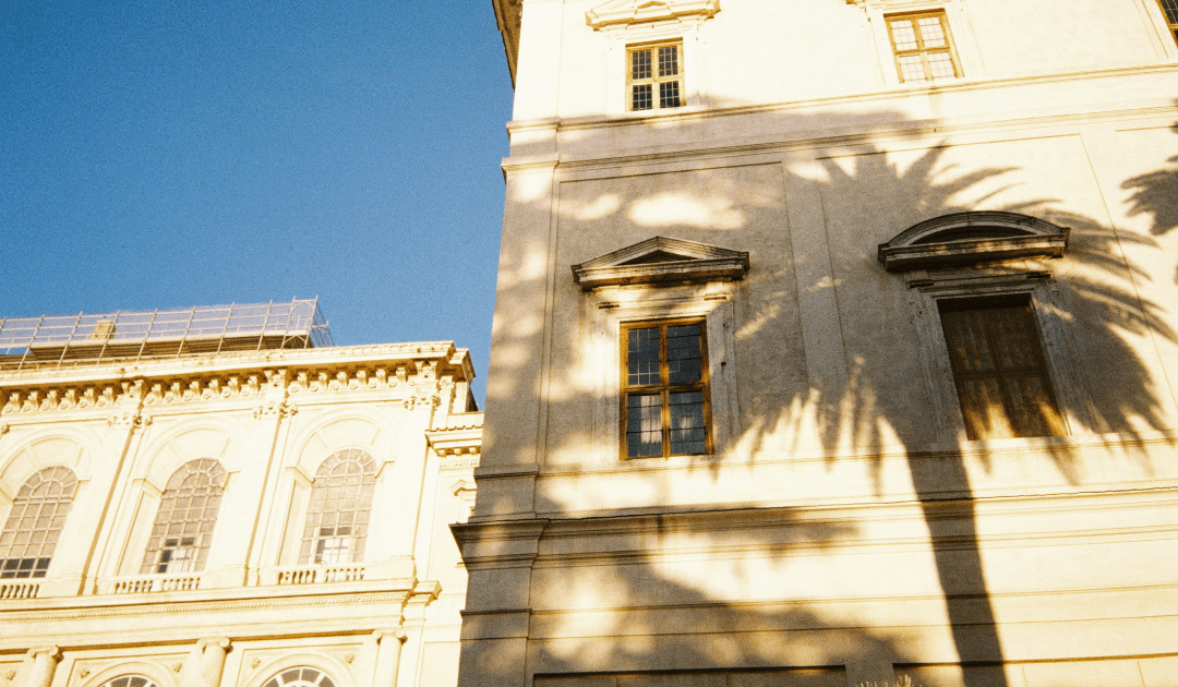 Art Gallery in Italy with a shadow of a palm tree | The Italian On Tour