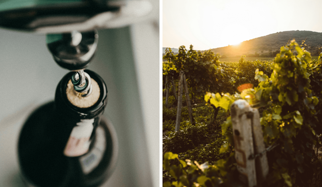 Zoomed in image of the neck of red wine bottles | The Italian On Tour