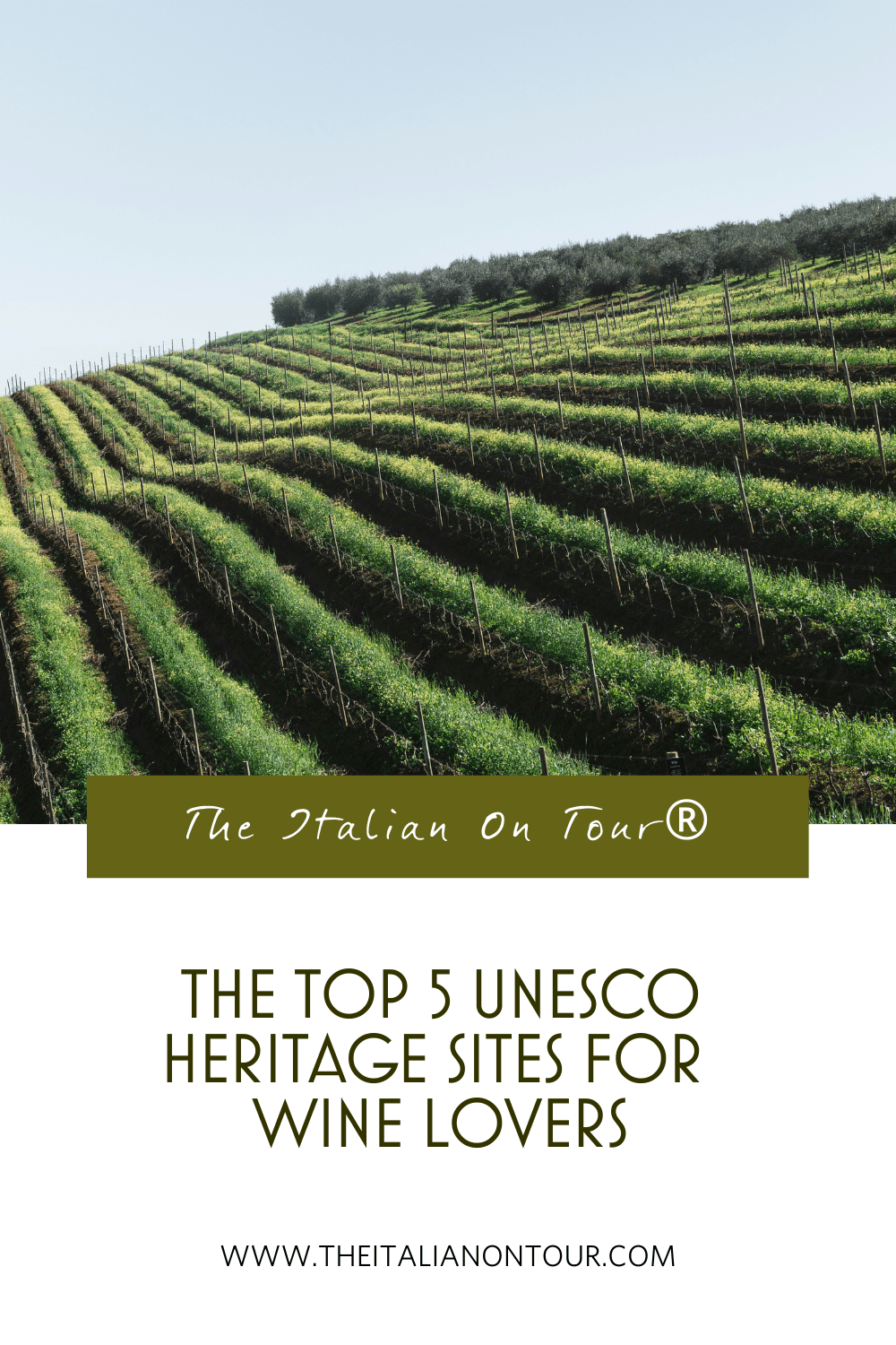 Pinterest Pin for The Top 5 UNESCO Heritage Sites for Wine Lovers