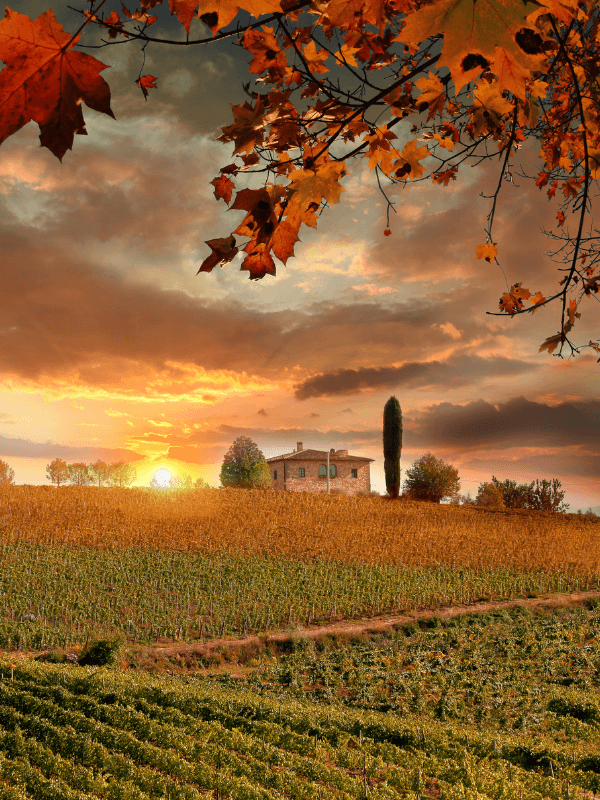 italy in the fall