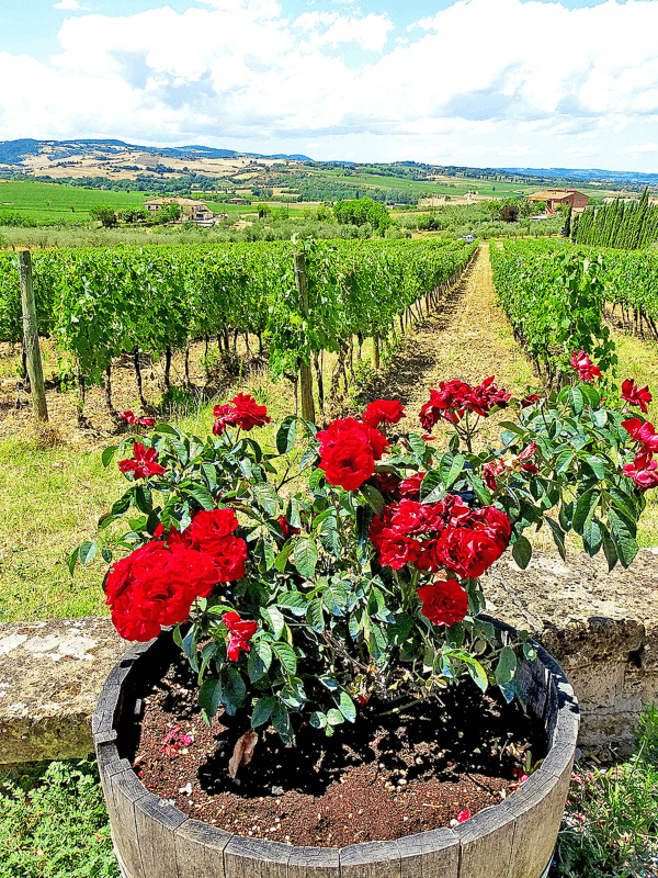Best Cities To Visit In Italy For Your First Time